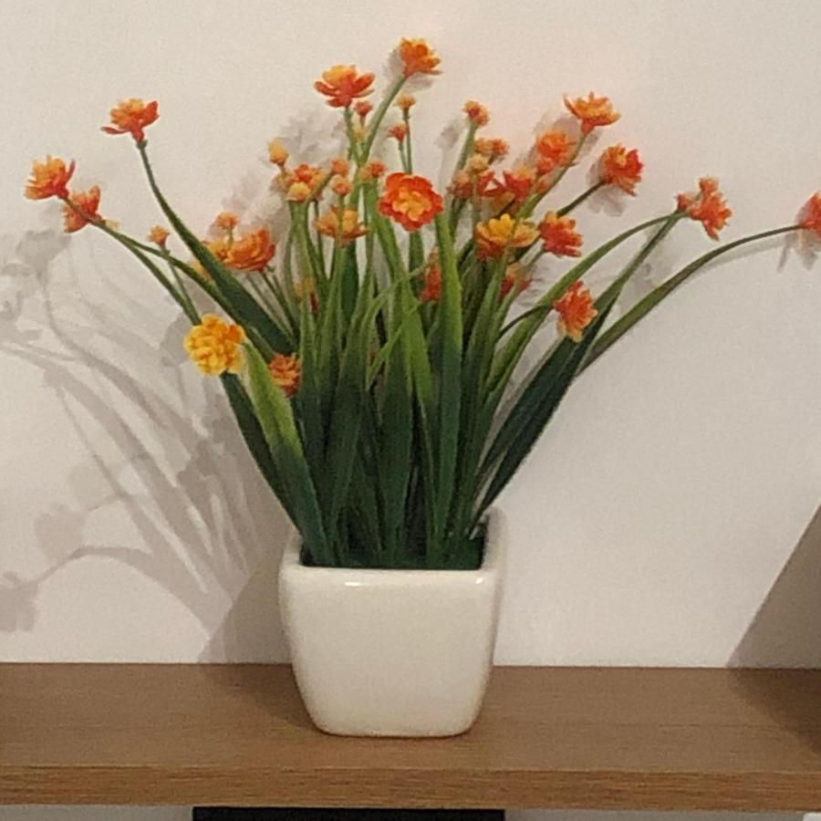 バルレッタ Casa Sipontinaヴィラ エクステリア 写真